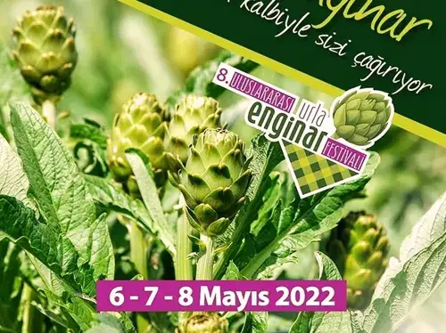 فیلم فستیوال انگینار یا کنگر فرنگی