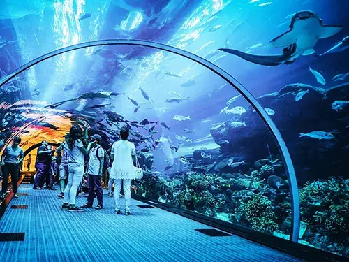 فیلم آکواریم ازمیر