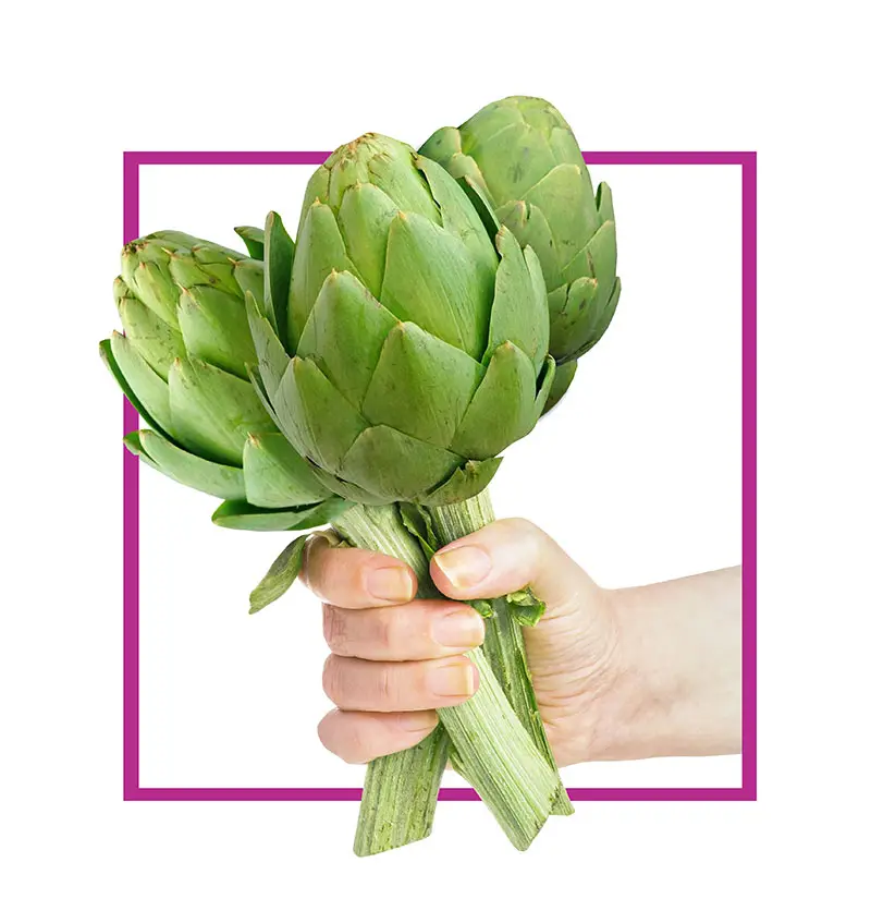 enginar به فارسی میشه کنگرفرنگی