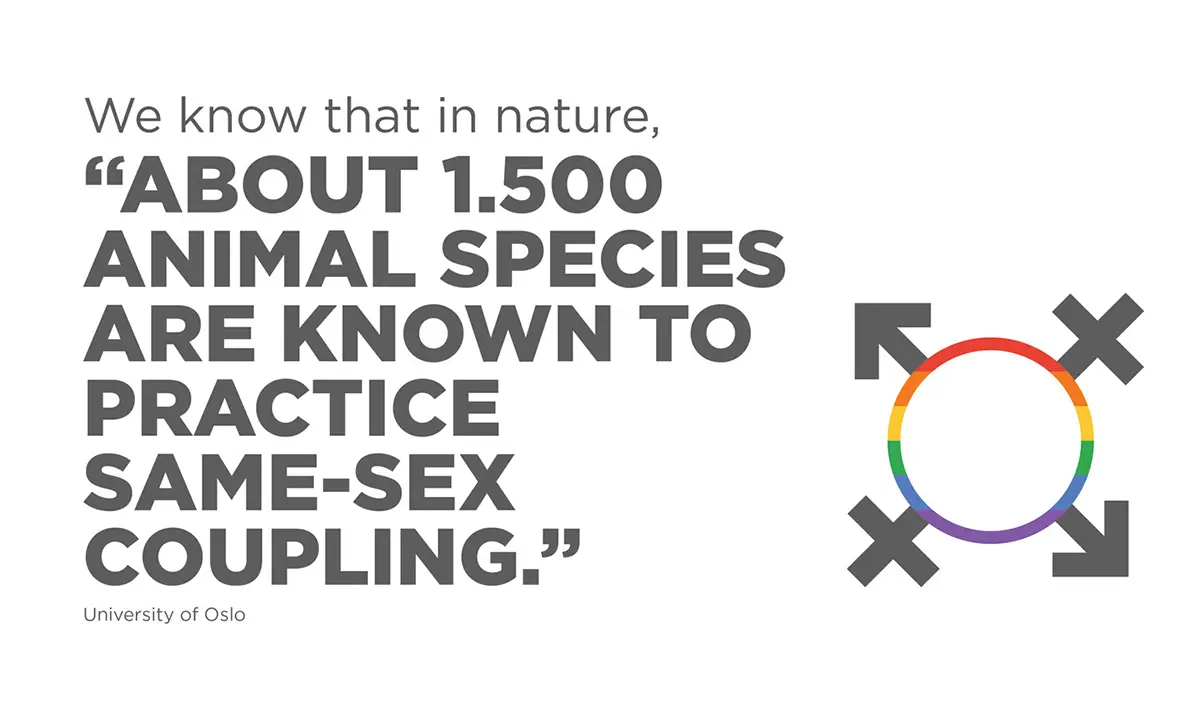 همجنس گرایی