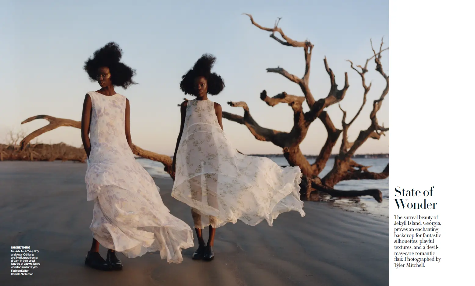 تایلا؛ ستاره ای نوظهور در دنیای موسیقی و مد