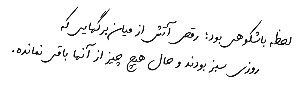 عاشقانه های شبانه