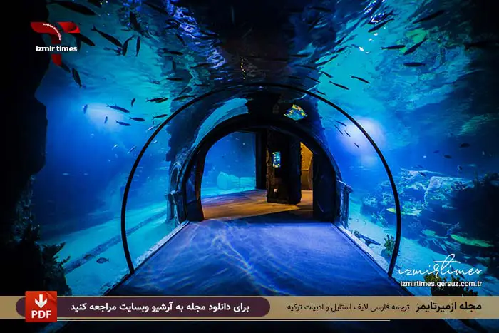 آکواریوم ازمیر