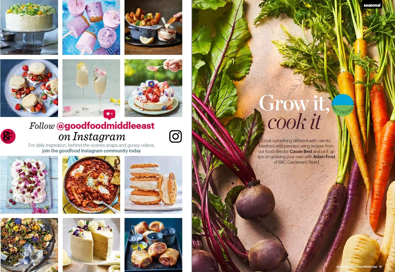 دستورهای غذایی برای آخر هفته | برنامه غذایی گیاهخواری