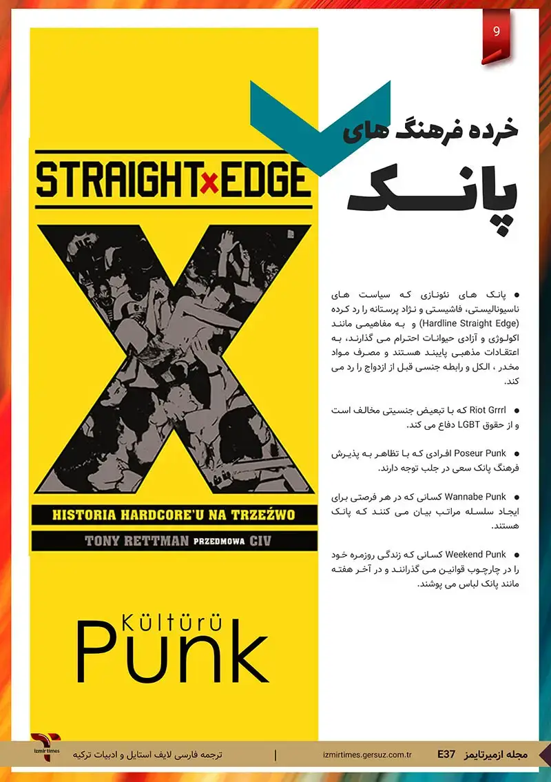 خرده فرهنگ های پانک