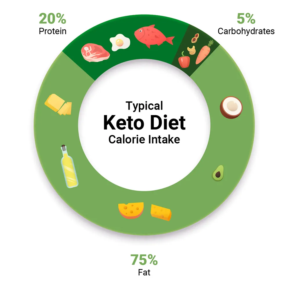 هرم کتوژنیک