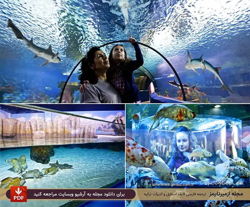 آکواریوم اسکیشهیر